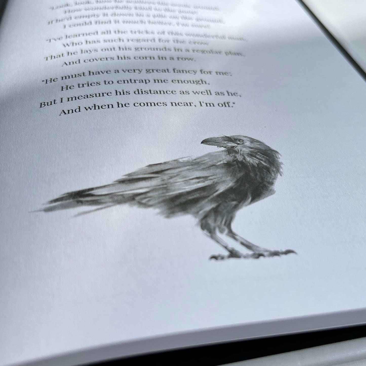 Be like a crow solo rpg adventure where you get to play a Corvid.
